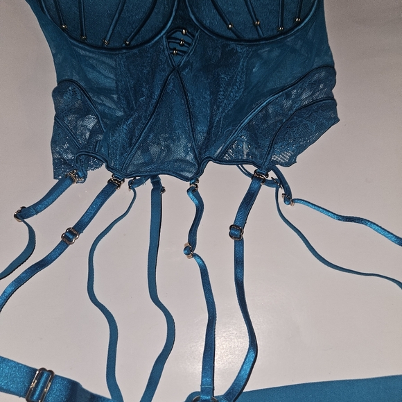 Honey Birdette Jade bustier size 36DD or 38D new - Picture 6 of 11